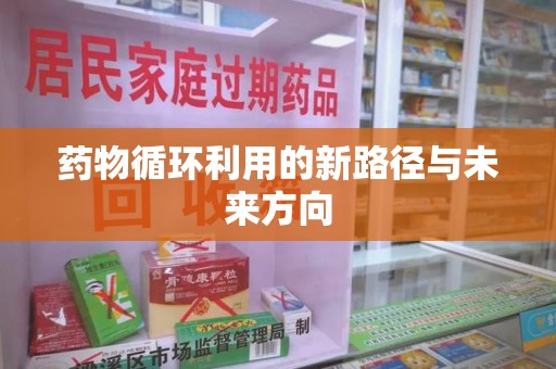 泉州药物循环利用的新路径与未来方向