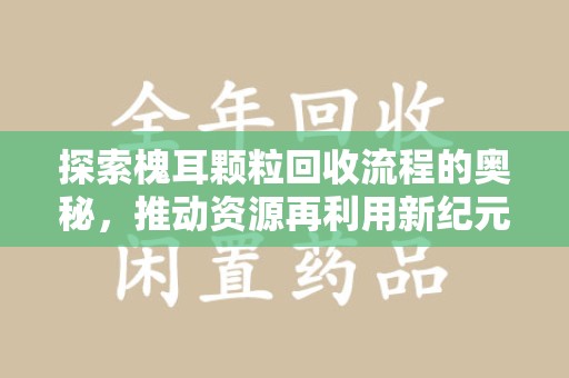 泉州探索槐耳颗粒回收流程的奥秘，推动资源再利用新纪元
