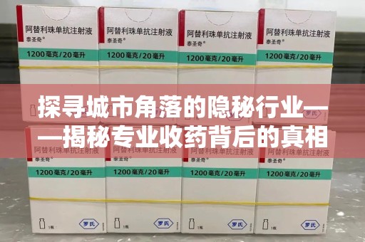 泉州探寻城市角落的隐秘行业——揭秘专业收药背后的真相