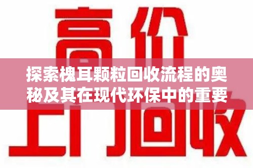 泉州探索槐耳颗粒回收流程的奥秘及其在现代环保中的重要作用