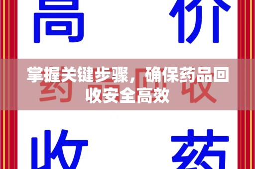 泉州掌握关键步骤，确保药品回收安全高效